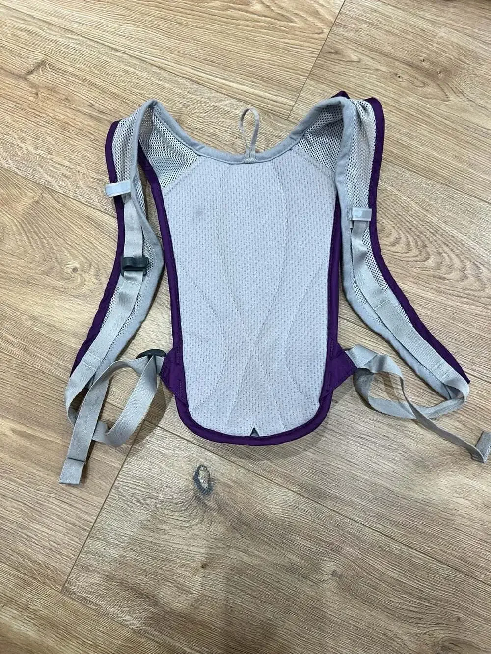 CamelBak Charm Hydration Pack Purple with 1.5L Reservoir Bladder